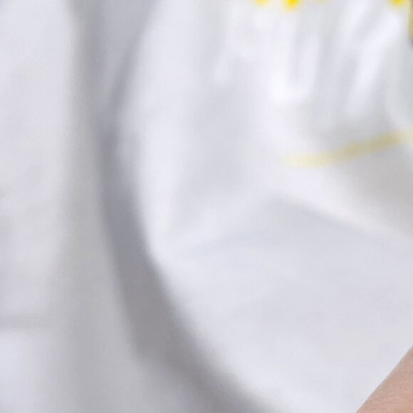 Vintage FUBU Platinum Fat Albert & TJG Short T Shirt Baby Tee Small / S - Picture 11 of 16